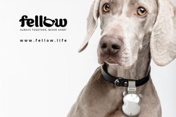 Fellow Smart Electronic Leash for Dogs with Bluetooth 5