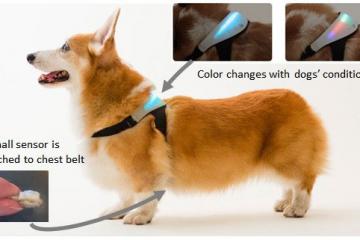 INUPATHY Wearable: Smart Mental Visualizer for Dogs