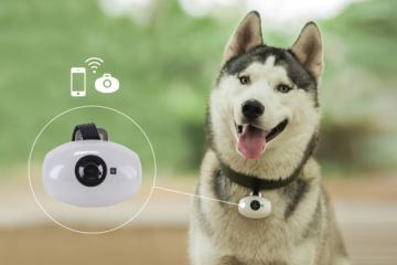 PawsCam Wearable Camera for Dogs