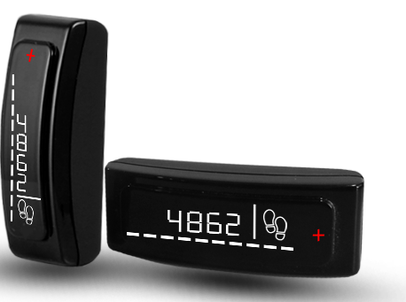 GOQii Smartband + Personal Training